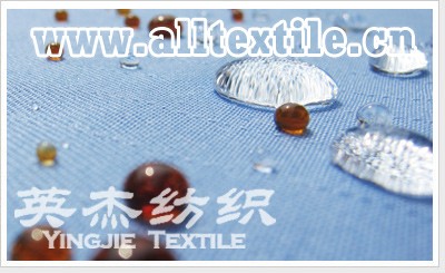 Waterproof and oil proof Teflon Fabric